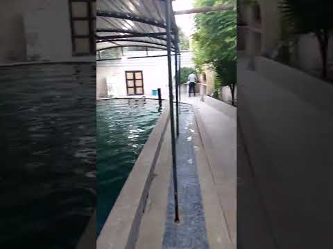 شاور شاور يلا يا قمر
