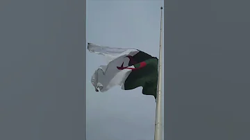 رفع العلم الوطني في جامع الجزائر احتفاء باليوم الوطني للذ اكرة 