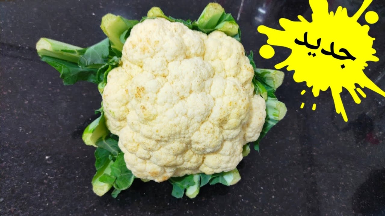 قووووة فالبنة😋شيلفور بطريقة سيعشقها الجميع⁉️كل حياتك ونت تنفخي الحمص خطأ😱روتين يومي ملئ بالتدابير