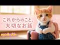 【大切なお知らせ】これからのにゃんこちんについて|Important Announcement: Nyankochin’s Future