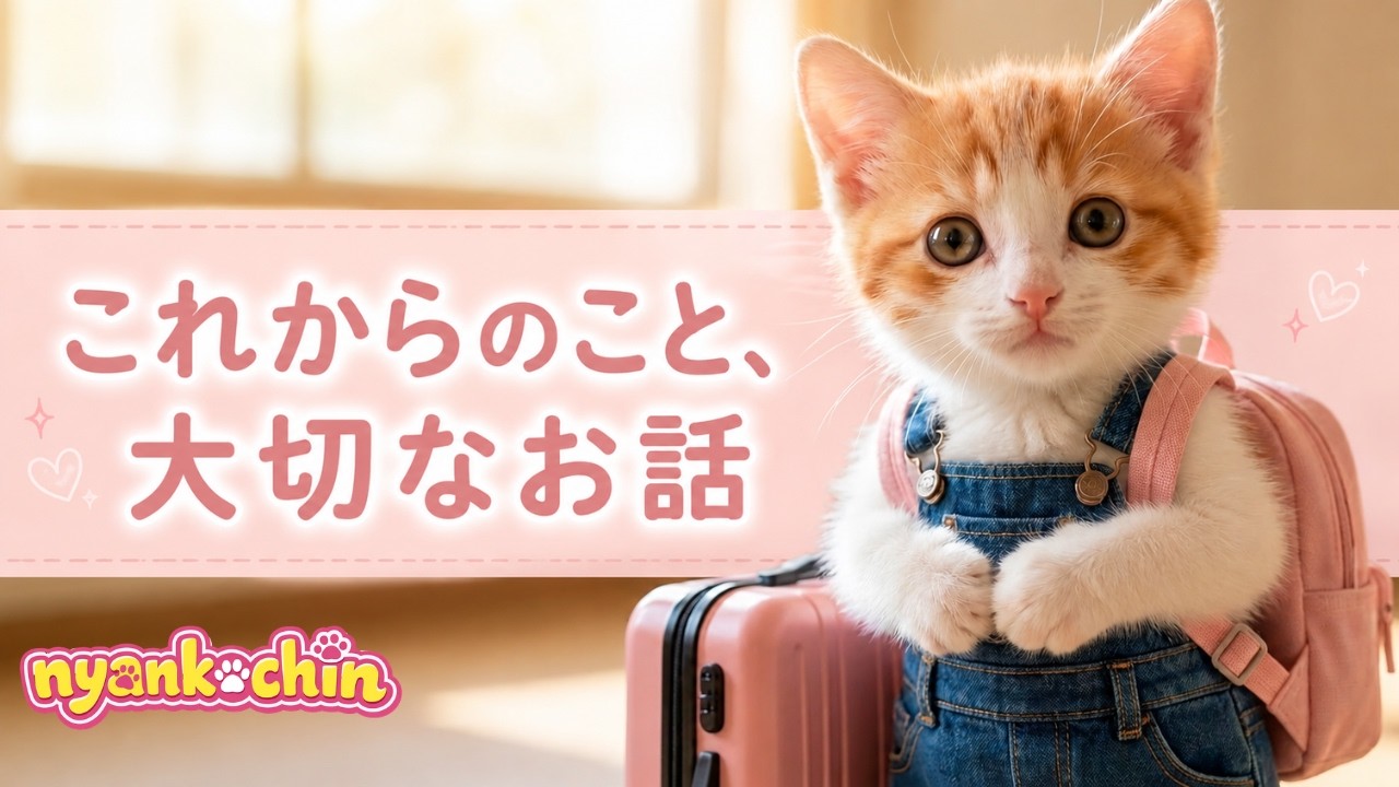 【大切なお知らせ】これからのにゃんこちんについて|Important Announcement: Nyankochin’s Future