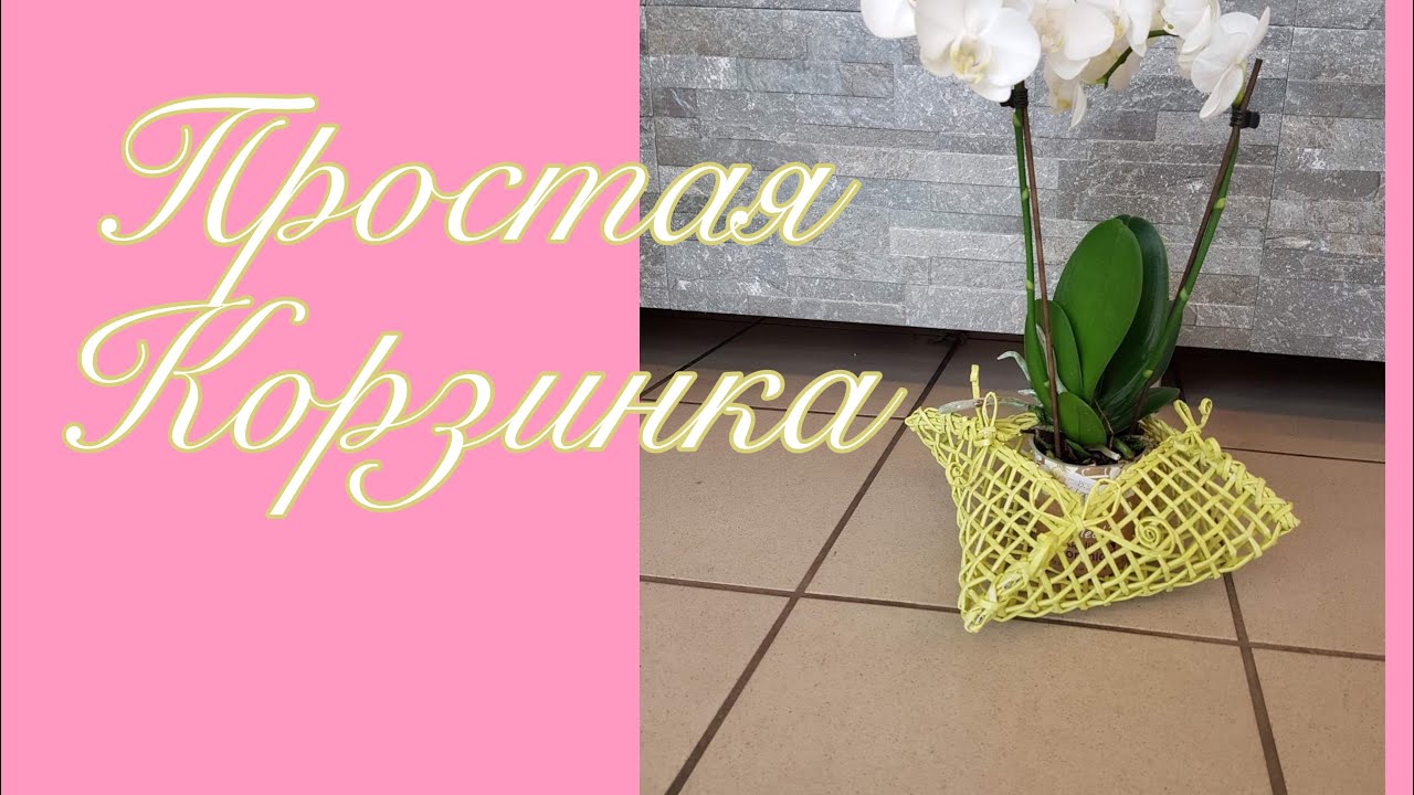 Калининград/поход в «Леонардо»/корзинка для орхидей/ручная работа/Handarbeit/Königsberg