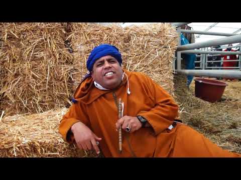 ديما سباق لمواضيع مهمة أخطر سكيتش كوميدي دارو عبدالفتاح عبدالفتاح جوادي كوميديات 