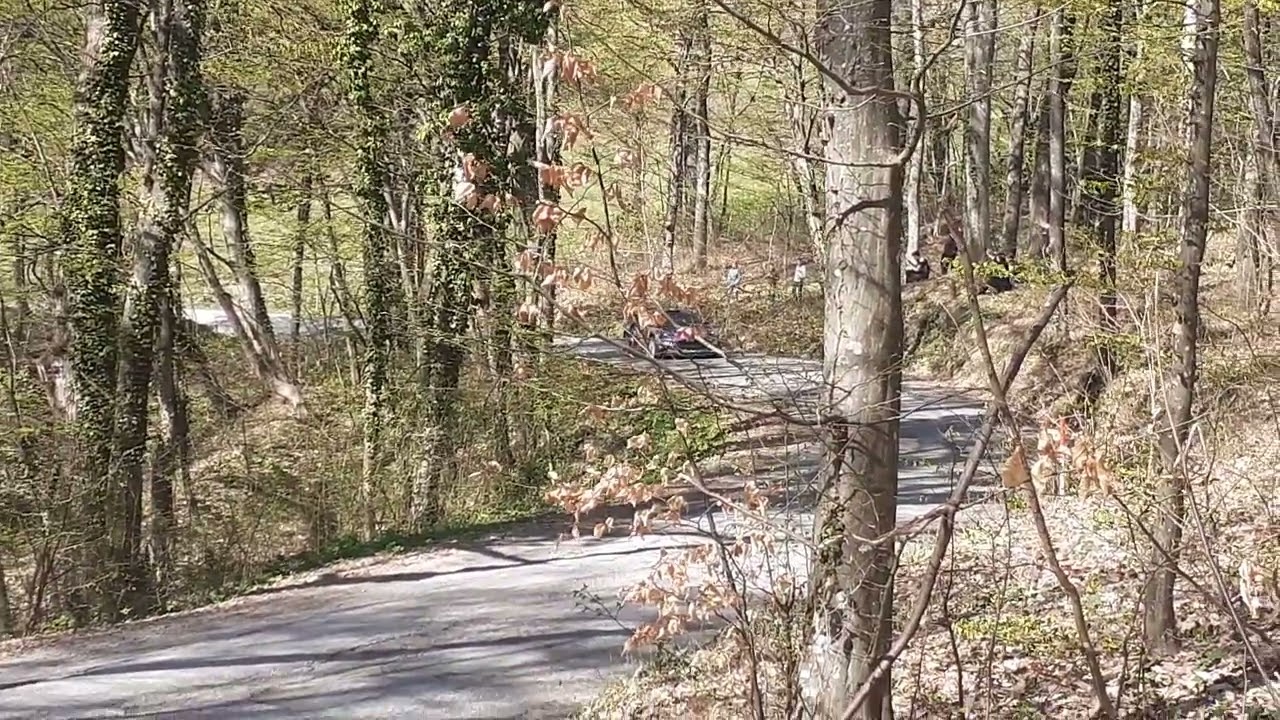 WRC Ford Stari Golubovec Adrien Formaux | Test Drive