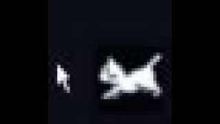 this cat follows my cursor ^-^