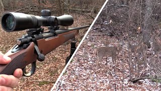 BUCK in the BRUSH! - DEER DRIVES Around Me on Opening Day of PA Rifle
