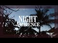 Night Cricket Sounds 🌿 Relaxing Nature Ambience