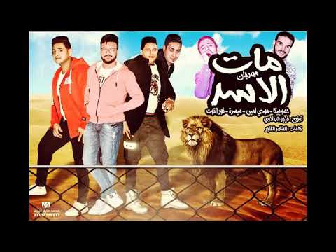 مهرجان مات اﻻسد والكلب حمو بيماميسر مودى امين نورت القوت
