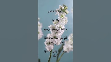 #سورة_الإخلاص #القرآن_الكريم #شفاء_القلوب