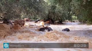 هطول الأمطار يسبب أزمة في مدن غات وترهونة وبني وليد