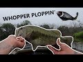 WHOPPER PLOPPIN' some LARGIES