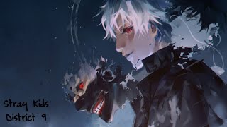 Nightcore - Stray Kids - District 9