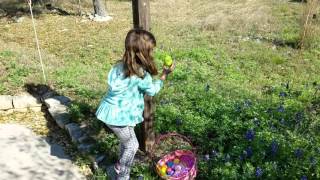 Easter egg hunt 2016 in Texas