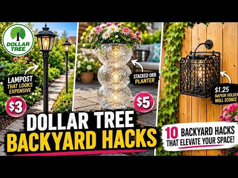 10 Dollar Tree Backyard Hacks That Make Your Garden Look Expensive