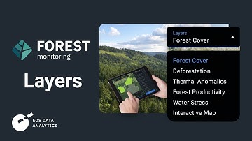 EOSDA Forest Monitoring Layers: Monitor forest cover change in near-real time on a regular basis