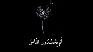 حالات واتس اب قصيرة تلاوة قران بصوت عذب أم يحسدون الناس #واتس #دينية #تلاوة #حالة