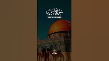تلاوة تهز القلوب من سورة التوبة | آية النصر والشفاء 💪📖
