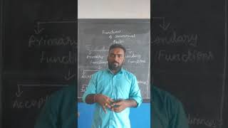 Functions Of Commercial Banks Part 1