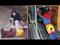 AWW NEW FUNNY 😂 Funny Videos #516