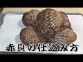 【赤貝のさばき方】寿司屋の下処理　How to fillet redclam よろい寿司