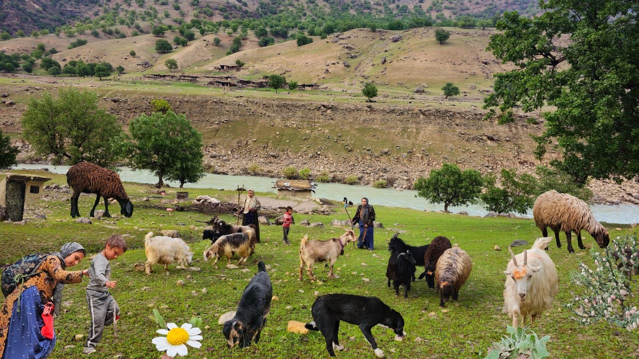 Кочевая жизнь: приключения девушек-кочевниц | Кочевая жизнь у реки Хорасан 🐑🌧️