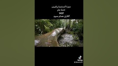سورة الممتحنة والصف ختمة عام 1437 القارئ عصام حمود