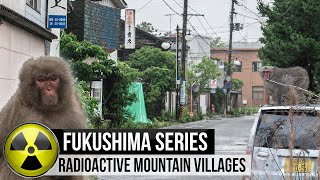 Fukushima's radioactive monkeys & mountain villages