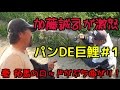 加藤誠司が激怒！パンDE巨鯉＃1 ダウザー俺達。秦 拓馬のロッドがぶち曲がり！ゴールデンウィーク釣行