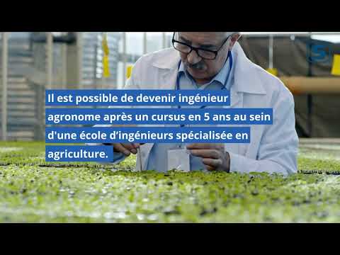 Vidéo: Combien d'heures les ingénieurs agronomes travaillent-ils ?