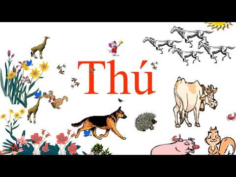 Tuần 27 - Tự nhiên xã hội - Bài: Thú