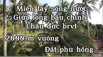 Cần bán đất tuyệt đẹp như miền tây sông nước đầu tư nghĩ dưỡng ở bàu chinh châu đức bà rịa vũng tàu