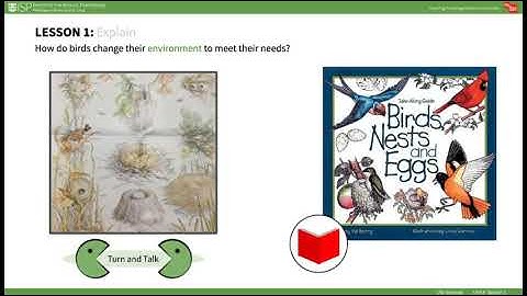 mySci 6 0 U5L1 Lesson Summary