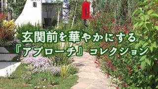 玄関前のおすすめガーデニング10例を紹介 系統別にアイデアを学ぼう Gardeniwa