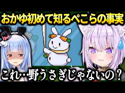おかゆホロのゲームでホロメンの設定を知り衝撃ｗ【猫又おかゆ/ホロライブ切り抜き】