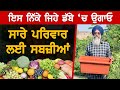 ਘਰੇ ਉਗਾਓ ਪੂਰੇ ਪਰਿਵਾਰ ਲਈ ਸਬਜ਼ੀਆਂ। Organic Vegetables | Akhar