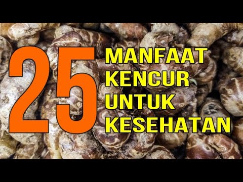 Kandungan Kencur