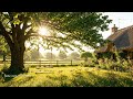 fresh morning 🌻 a comfort playlist for a quiet moments in the morning | soft piano music #9