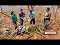 जंगल में CID को हाथी का कंकाल मिला | CID | Latest Episode #2026 | #crime #jungle #forest