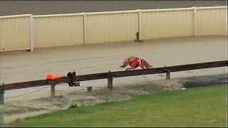 GOULBURN-PT-07042015-RACE-1