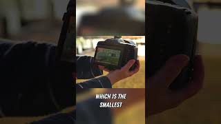 Why This Camera SHINES in Bright Sunlight!