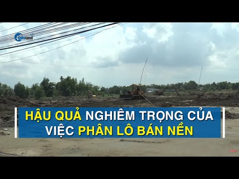 Video Hậu quả của phân lô bán đất nền nông nghiệp | CAFELAND - youtube