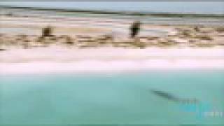 Travel Guide - Turks & Caicos