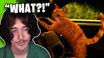 This CAT Is My Uber Driver... (Nip For Speed)