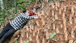 FULL VIDEO Harvest bamboo shoots, radishes and young squash to sell with daughter
