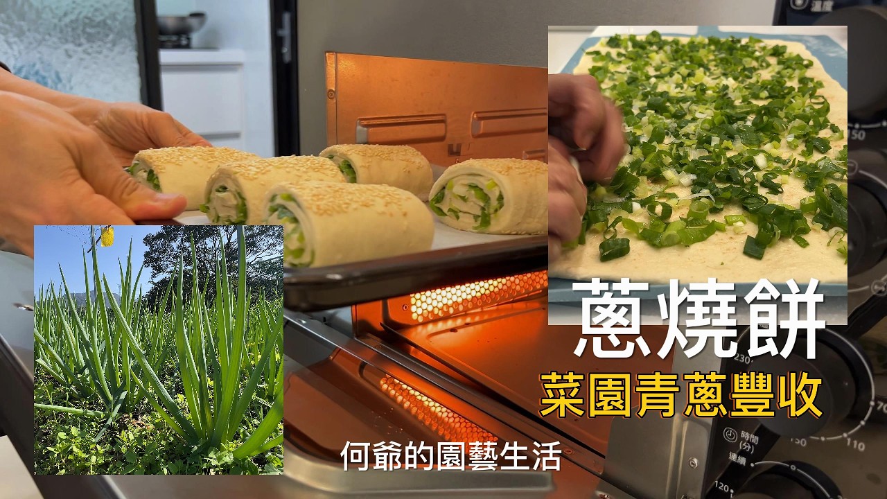 現採鮮蔥做成「酥脆蔥燒餅」，外酥內軟蔥味濃，全家人都搶著吃！_ 何爺的園藝生活（53）