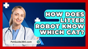How Does Litter Robot Know Which Cat? - PetGuide360.com
