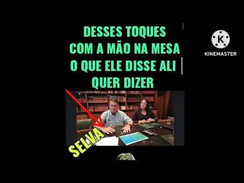 Vídeo: O que a selva simboliza?