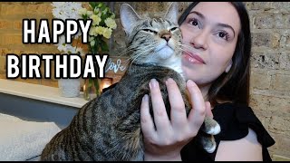 Kitten Turns One Years Old! Happy Birthday Vlog