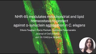 JCS snapshot: NHR-85 alters mitochondria & lipid homeostasis to protect from α-synuclein aggregation