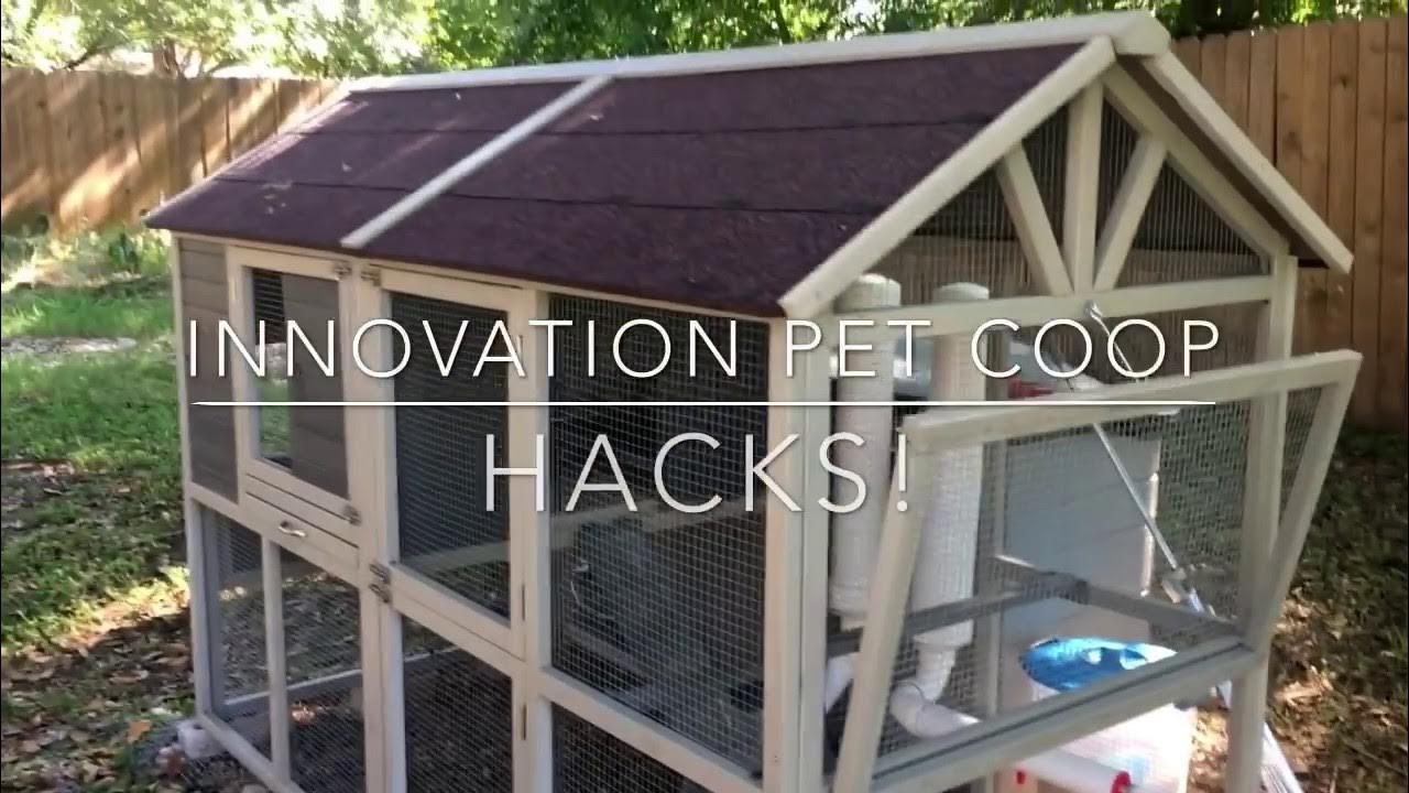 Chicken Coop Hacks For Every Backyard Chicken Owner! YouTube